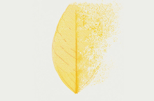 Γκαμπόρ Ματέ: Το κρυφό στρες και πώς μας επηρεάζει