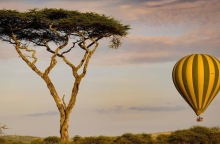 Μάρω Κουρή: Φωτογραφικό εργαστήρι - ταξίδι στην Τανζανία