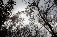 Ο καιρός σήμερα, Πέμπτη 21 Σεπτεμβρίου