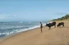 «Titi - Στο πέρασμα του κυκλώνα»: Στις Νύχτες Πρεμιέρας το ντοκιμαντέρ της Νατάσσας Μπλάτσιου σε συνεργασία με τους Γιατρούς Χωρίς Σύνορα.