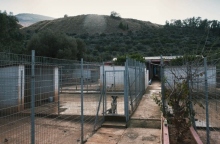 KAZ - Καταφύγιο ζώων στον Ωρωπό