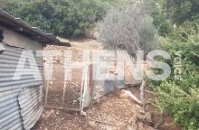 Άρτα: Εντοπισμός του 38χρονου γιου - Νεκρός ο πατέρας κοντά σε ποιμνιοστάσιο - Ο κτηνοτρόφος που βρήκε τον νεαρό γυμναστή μίλησε στην Athens Voice.