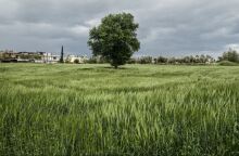 Με αραιές νεφώσεις και τοπικές βροχές ο καιρός την Παρασκευή