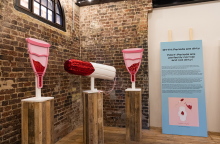 Το μουσείο αιδοίου στο Λονδίνο