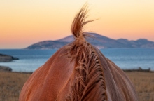 Κώστας Δελχάς: «Κάπου στο Αιγαίο» θα ξαναβρεθούμε