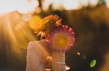 Χέρι κρατά δύο λουλούδια στα οποία πέφτουν πάνω ακτίνες του ήλιου