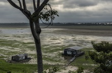 Αμαζόνιος: Λιμάνι στο τροπικό δάσος καταγράφει τη χαμηλότερη στάθμη νερού των τελευταίων 121 ετών εν μέσω ξηρασίας - Οι επιπτώσεις στο οικοσύστημα.