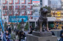 Ο πιο πιστός σκύλος της Ιαπωνίας γίνεται «100 ετών»