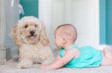 Τα 5 οφέλη για τα παιδιά που μεγαλώνουν μαζί με σκύλο