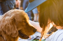 Συστροφή Στομάχου στον Σκύλο