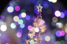 Χριστουγεννιάτικο δέντρο στην πλατεία Συντάγματος - Το αστέρι στην κορυφή