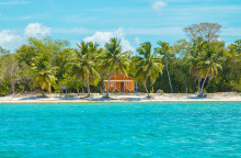 To Survivor των ονείρων μου