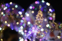 Το χριστουγεννιάτικο δέντρο στο Σύνταγμα