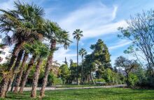 Δήμος Αθηναίων: Ολοκληρώθηκε η ανάπλαση στο πάρκο Δρακόπουλου - Παραδίδεται στη γειτονιά αναβαθμισμένο, ασφαλές και φωτεινό.