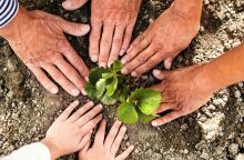 Πράσινοι: Πραγματοποιήθηκε το 3o Τακτικό Συνέδριο - Τα κείμενα που εγκρίθηκαν - Οι χαιρετισμοί των κομμάτων.