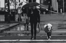 Γιατί ο σκύλος μας φοβάται τις καταιγίδες;