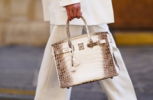 Hermes Himalayan Birkin