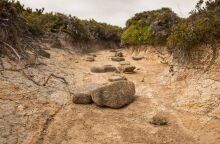 Ξηρασία και έλλειψη νερού