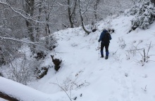 Χιόνια και άτομα που περπατά
