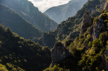 Βλάστηση στο φαράγγι του Ενιπέα