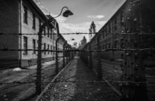 Το Ολοκαύτωμα τ