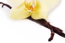 Μίξερ-Στέλιος Παρλιάρος: 12 συνταγές με βανίλια 