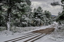 Σημάδια από ρόδες αυτοκινήτου σε χιονισμένο τοπίο
