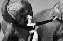 Richard Avedon: Ο φωτογράφος που άλλαξε τη φωτογραφία μόδας και διασημοτήτων