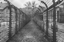 Ημέρα Μνήμης του Ολοκαυτώματος: « αν τους ξεχάσουμε…»