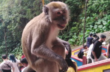 Μαλαισία: Κουάλα Λουμπούρ