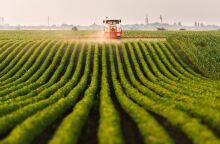 Αγροτικό ρεύμα: Το υπουργείο Ενέργειας δίνει στη δημοσιότητα μια σειρά ερωταπαντήσεων γύρω από τα νέα μέτρα και τη μείωση κόστους.