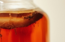 Παγκόσμια Ημέρα Κομπούτσας η 21η Φεβρουαρίου