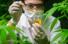 Άρχισε η συνταγογράφηση φαρμακευτικής κάνναβης στη χώρα μας και η διάθεσή της από τα φαρμακεία - Πού μπορούν να εφαρμοστούν οι θεραπείες.