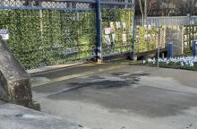 ΗΠΑ: Αμερικανός στρατιωτικός αυτοπυρπολήθηκε