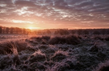 Ο φετινός Φεβρουάριος ίσως είναι ο πιο ζεστός που έχει καταγραφεί ποτέ