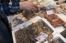 Γαρίδες και χταπόδια σε πάγκο με σαρακοστιανά - θαλασσινά σε ψαραγορά