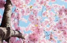 Ποιοι γιορτάζουν σήμερα 6 Μαρτίου;