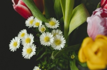 Εορτολόγιο: Σήμερα, 7 Μαρτίου 2024 γιορτάζει…