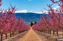 Καιρός σήμερα: Αίθριος με λίγα σύννεφα το Σάββατο