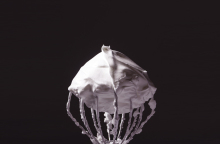 Το αφρώδες γλύκισμα από ζάχαρη και ασπράδι αυγού