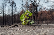 Έβρος – 17 μέρες μετά: Ο Σάκης Γιούμπασης μιλάει για το φιλμ που προβάλλεται στο 26ο Φεστιβάλ Ντοκιμαντέρ Θεσσαλονίκης