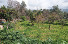 Τα δωμάτια των συγγραφέων: Γιάννης Μακριδάκης