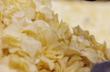 Ένα ταξίδι στον «ακαταμάχητο» κόσμο των Lay’s