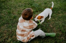 Σκυλάκι παίζει με σκυλάκι στο γρασίδι