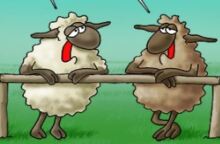 Το σημερινό σκίτσο του Αρκά