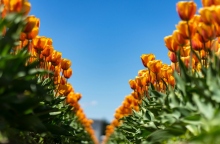 Εορτολόγιο: Σήμερα 14 Απριλίου 2024 γιορτάζει…