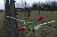 Λουλούδια στα συρματοπλέγματα στρατοπέδου συγκέντρωσης