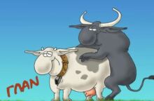 Αρκάς: Το πασχαλιάτικο GIF με την... κουδούνα