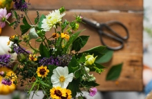 Εορτολόγιο: Σήμερα 10 Μαΐου 2024 γιορτάζει…