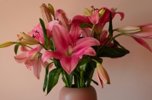 Εορτολόγιο: Σήμερα 26 Αυγούστου 2024 γιορτάζει…